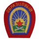Нарукавный знак «ОБРАЗЦОВЫЙ» Кавалерии Рабоче-Крестьянской Красной Армии, обр. 1922 г.